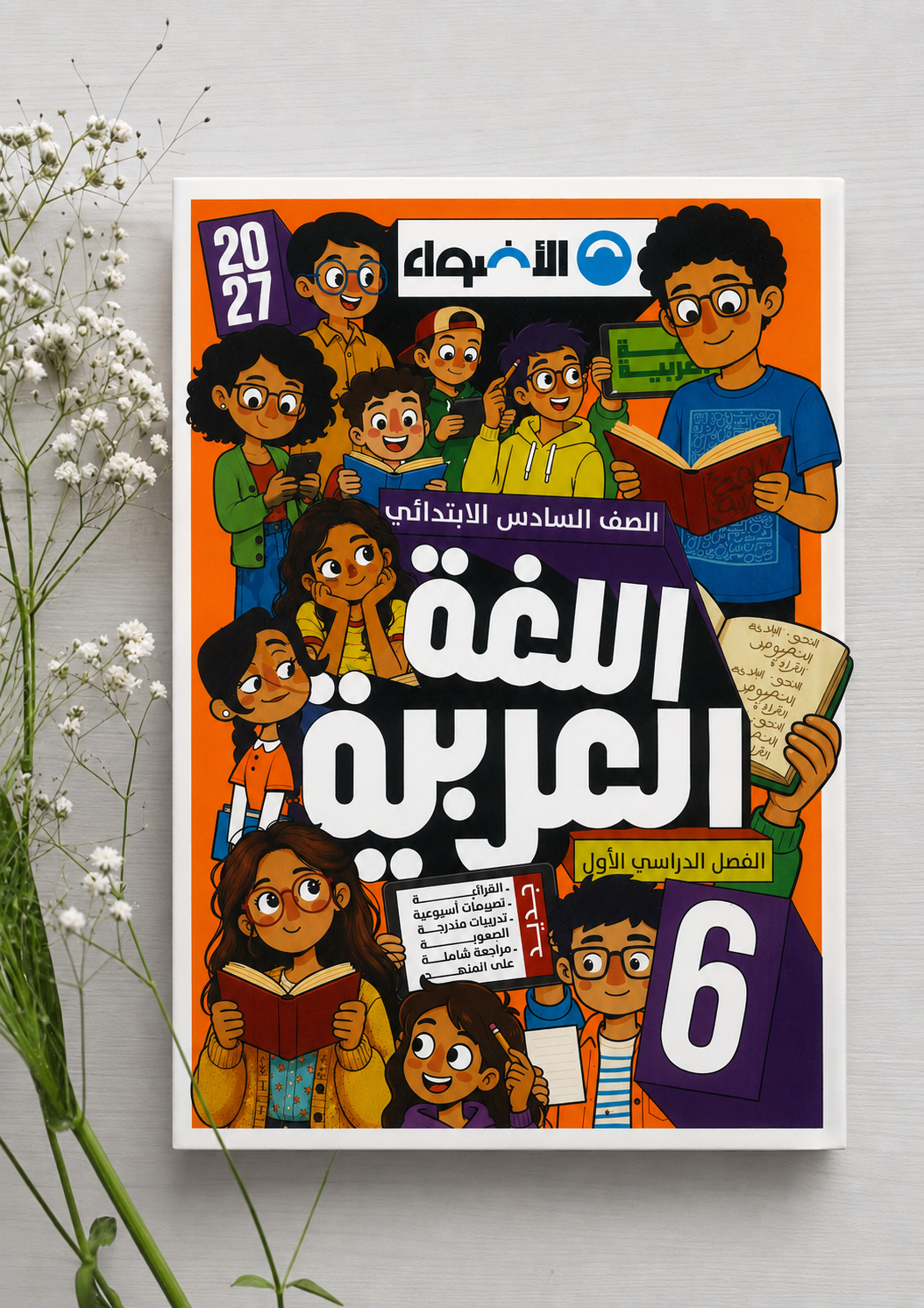 6 ب الاضواء عربي